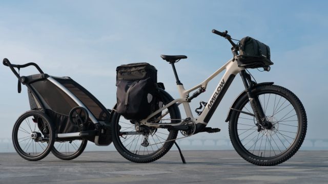 Revolutionizing Rides: The Ris