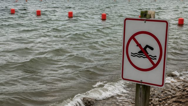 Bull Shoals Lake Swim Beaches 