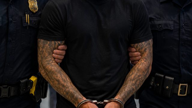 Dustin Poirier's Arrest at Air