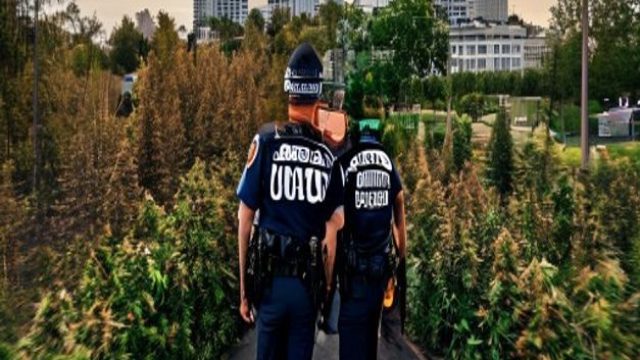 Arkansas State Police Intercep