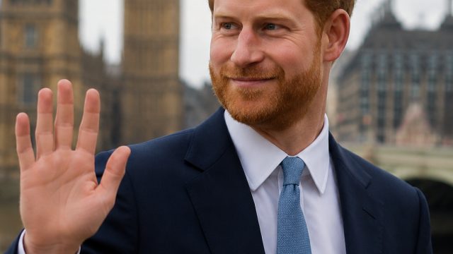 Prince Harry's Strategic UK Vi