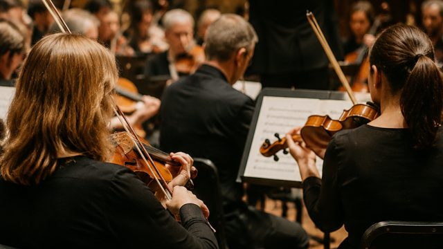 Celebrate Two Decades of Music